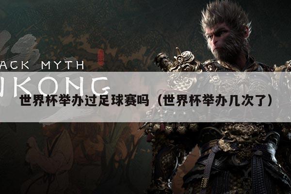 世界杯举办过足球赛吗（世界杯举办几次了）