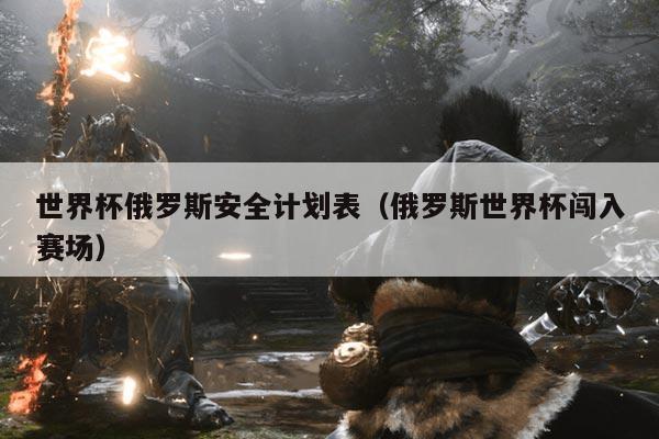 世界杯俄罗斯安全计划表（俄罗斯世界杯闯入赛场）